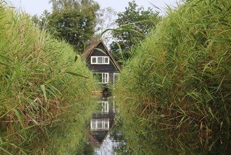 Natuurhuisje plant 250 duizend bomen in één jaar