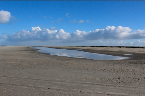 Start veerboot naar Marker Wadden