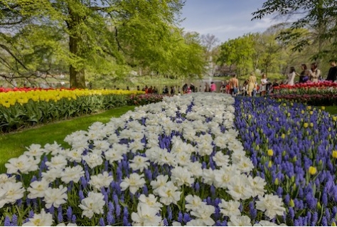 Meer kinderen naar de Keukenhof