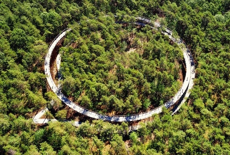 Extra belevingslaag op netwerk met Fietsen door de Bomen