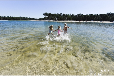 Vier de zomer als een VIP op de Heuvelrug