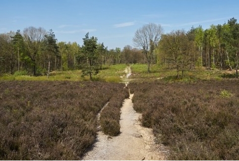 Meer onderzoek voor onderbouwing Geopark Utrecht i.o.