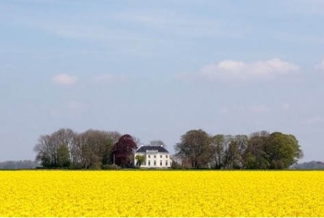 Toeristische campagne het Groningste van Groningen