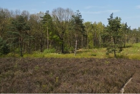 17,4 miljoen euro subsidie naar Utrechtse natuur in 2020