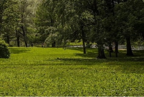 Stadspark Koekamp wordt poort tot NP Hollandse Duinen