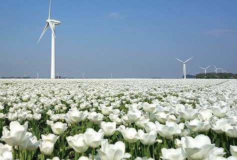 Advies: Zorg beter voor het landschap