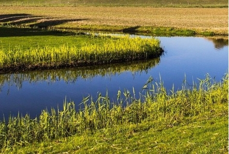 Andelsch Broek biedt meer voor recreanten (+video uitbreiding natte natuur)