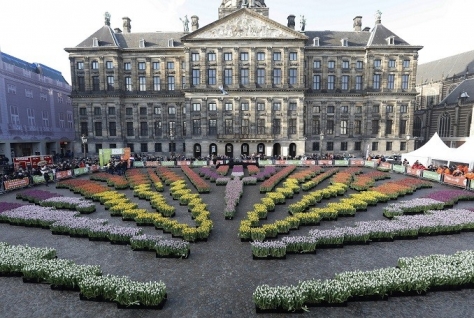 Nederlands tulpenfeest: nationale tulpendag