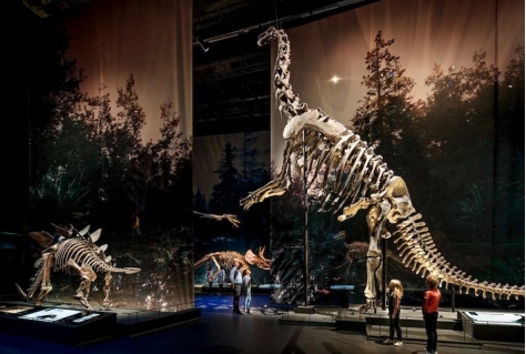 Naturalis tempel voor het leven