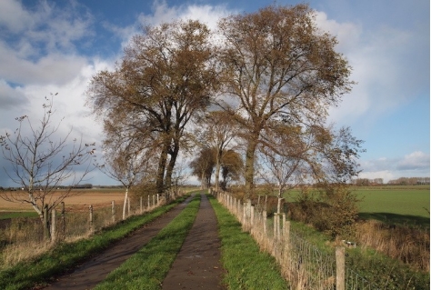 Omgevingsbeleid moet landschapsinclusief