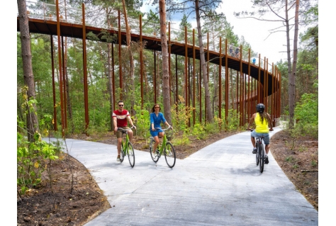 'Fietsen door de bomen' wint goud in Los Angeles