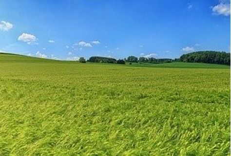 Verbind platteland aan stad