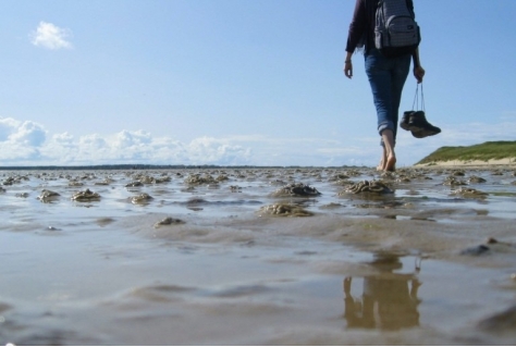 Duurzaam toerisme in het Waddengebied