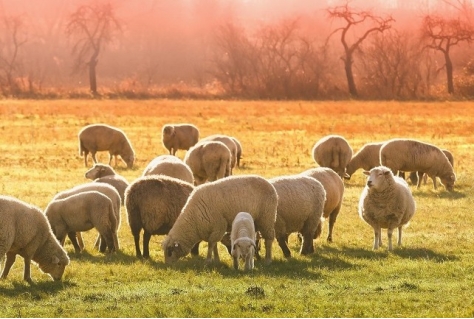 Recreatie kan venster op het landschap verbeteren