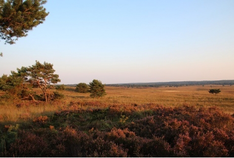 Veluwe gaat recreatiezonering invoeren