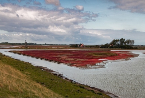 Achteruitgang natuur stoppen daarom rechtszaak tegen de Staat