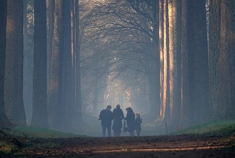 Vrees voor onvoldoende ontwikkeling Veluwe door stikstofaanpak