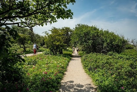 Na korte vragenlijst krijgt bezoeker Den Haag de rustige parels gepresenteerd