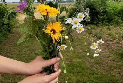 Landschap omarmt jongeren met psychische problemen