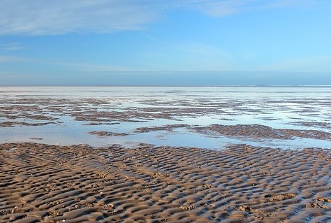 Genieten van UNESCO gebied Waddenzee vanaf de tribune