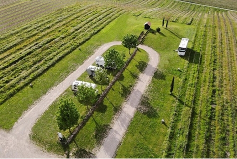 Duitse wijnboeren maken plek voor campers