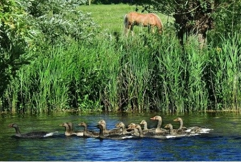 Vinkeveen krijgt nieuw natuurgebied 'Marickenland'