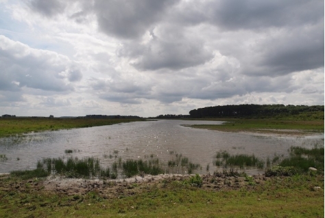 Regiodeal Zuid-Hollandse Delta