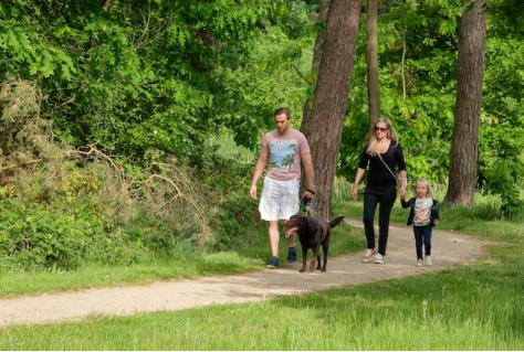 Sterk stijgende vraag naar wandelen tijdens coronacrisis