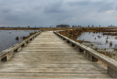 Dwingelderveld is het ‘Stilste gebied van Nederland‘