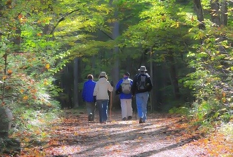 Groot 1600 km wandelnetwerk in provincie Utrecht open