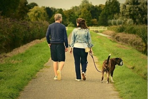 Wandelen populair in coronatijd