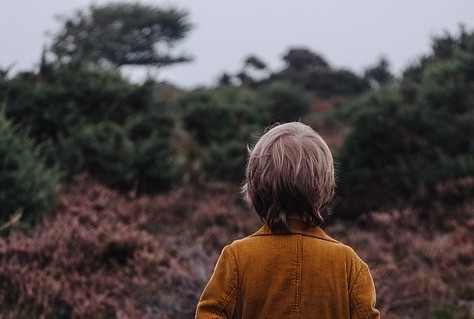 Groningse schooljeugd leert natuur kennen