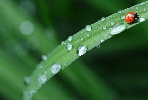 Nieuwe natuur door spooronderdoorgang in Maarsbergen