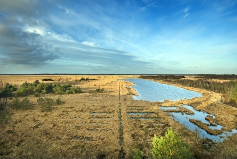 Landelijk DMO netwerk breidt uit met Merk Fryslân