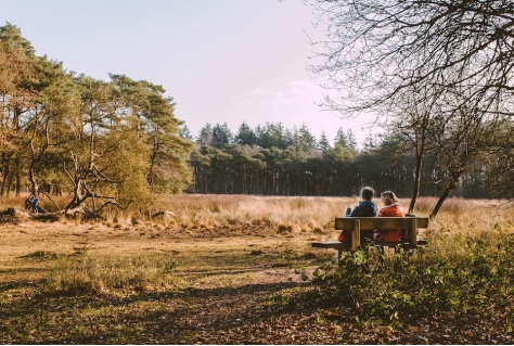 Ervaringen DMO’s met zomer- en najaarcampagnes