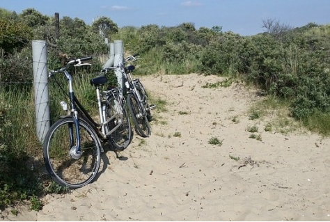 Hollandse Duinen vraagt status Nationaal Park nieuwe stijl aan