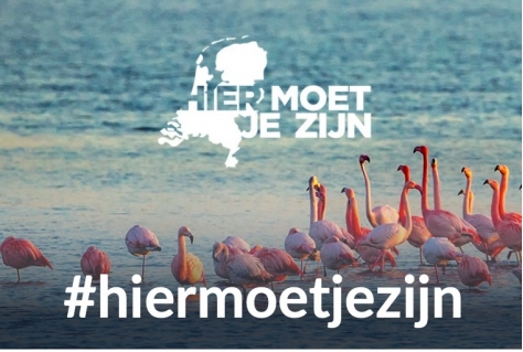 Honderd miljoen views voor #hiermoetjezijn 