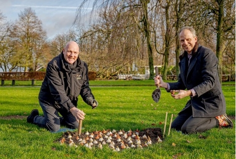 Andre Kuipers plant laatste bloembol voor Keukenhof 2021