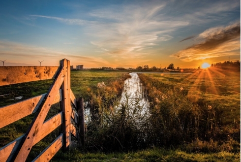 Natuur is noodzaak en moet uitbreiden