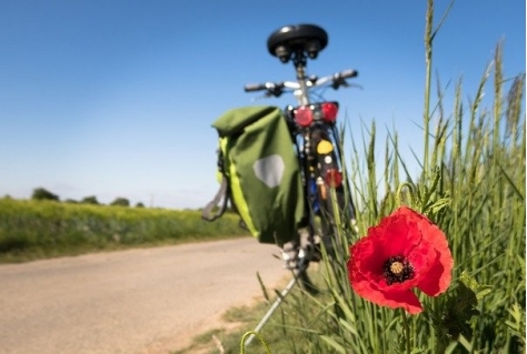 Bicycle Tourism Conference over boost in aanleg fietspaden