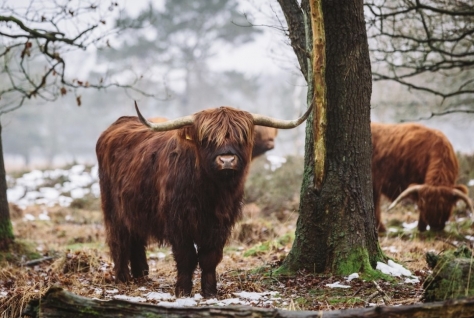 Marketing Drenthe sluit aan bij Kennisnetwerk Destinatie Nederland