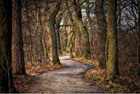 Dertien Utrechtse gemeenten koppelen wandelnetwerk