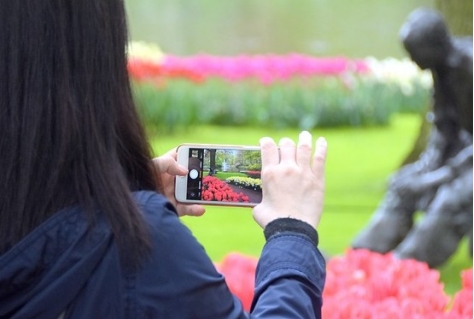 Keukenhof mag niet open op 20 maart