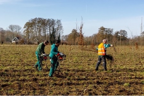 Nieuw bos bij Epe goed voor recreatie en draagt bij aan behalen klimaatdoelen