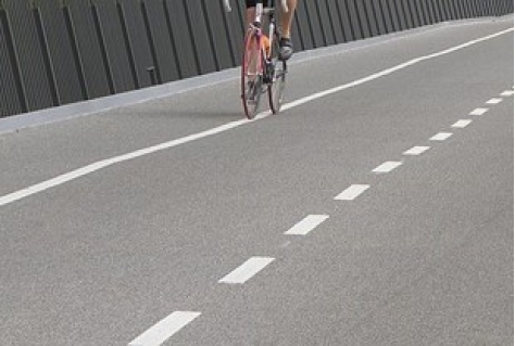 Boomveren geven beschutting langs Fietspad van de toekomst