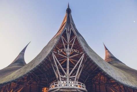 Te weinig belangstelling voor pilot bij Efteling, wel veel aanmeldingen testvakantie