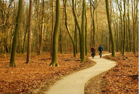 Veluwe bij ouderen favoriet, jongeren kiezen voor de stad