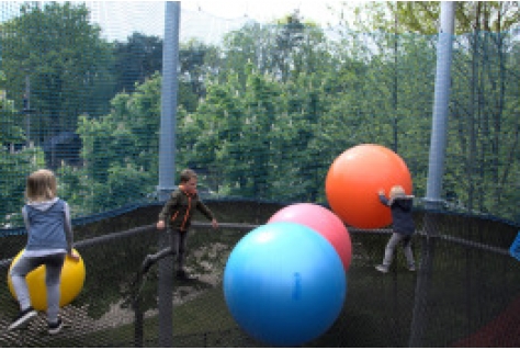 Nieuwste attractie Klimrijk officieel geopend door enthousiaste kinderen