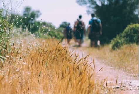 Toeren/wandelen veel populairder in 2020