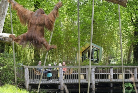 Slapen bij de apen